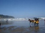 Gambar Pantai Parangtriris Jogyakarta